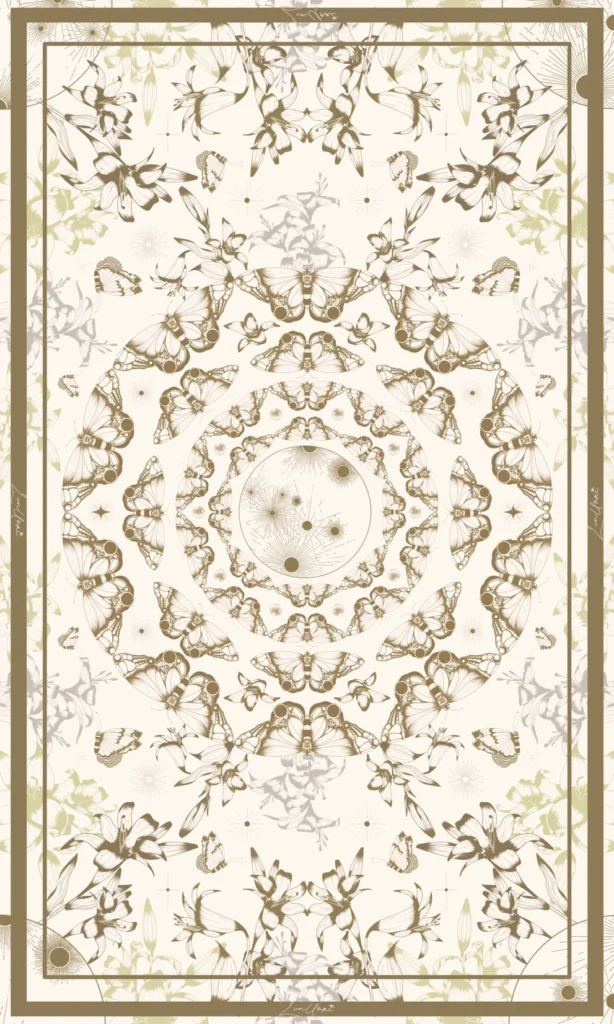 chandra full white